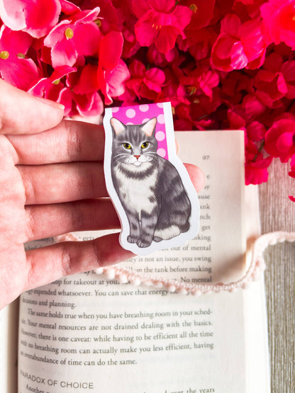 Gray Cat Charity Magnetic Bookmark