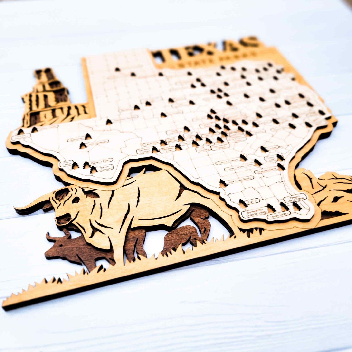 Texas State Park Map